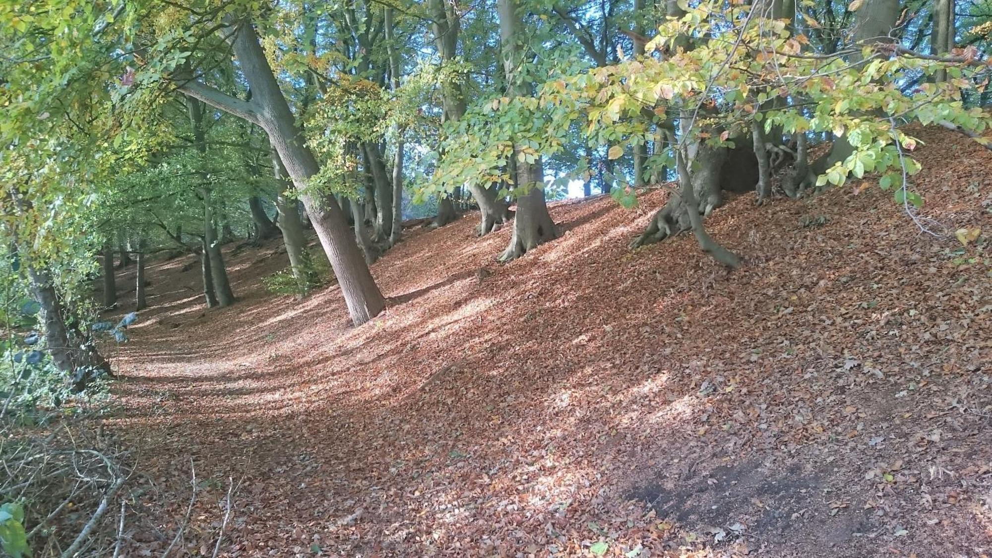 Mobilheim Am See Wittenborn 外观 照片